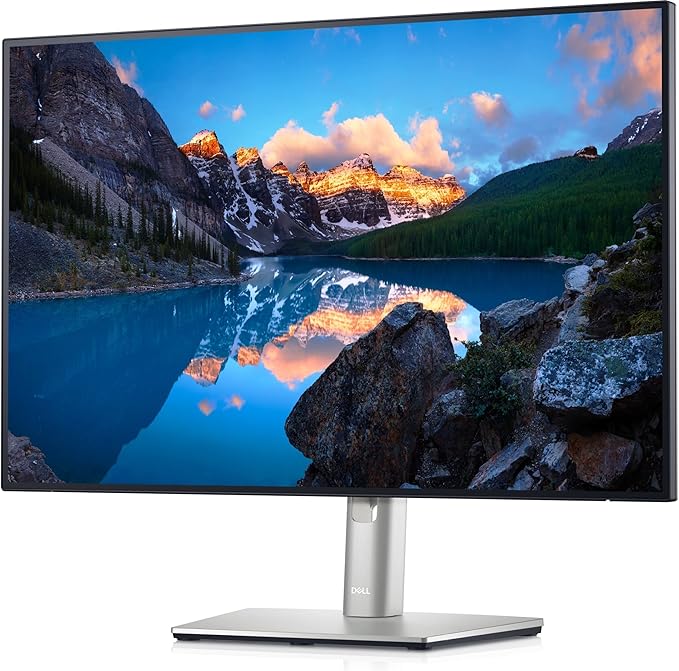 Dell UltraSharp U2421E 23.8 LCD Monitor - 24 Class