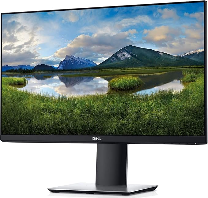 DELL 23in PROFESSIONAL P2319H 1920X1080 IPS LED-LIT DISPLAY VGA HDMI DP MONITOR (Renewed)