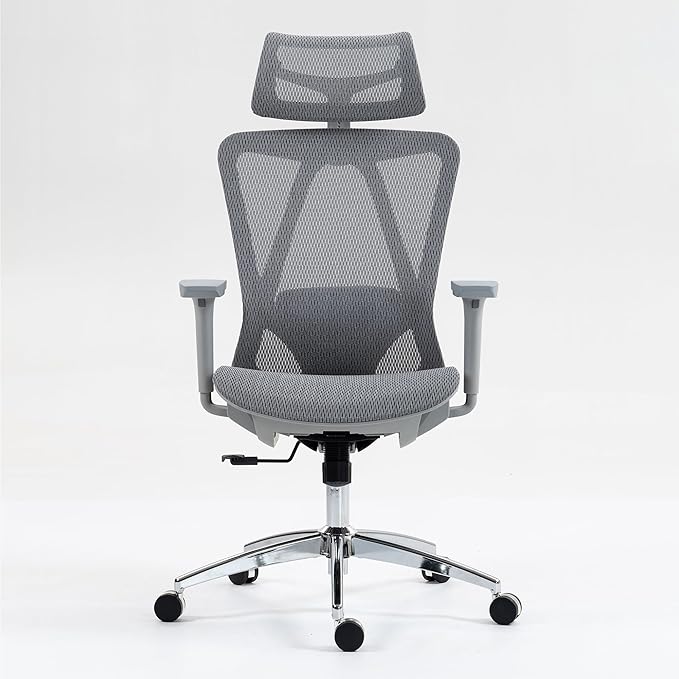 Ergonomic High Back Mesh Office Chair - Adjustable Lumbar Support Headrest &amp 3D Armrests Swivel Desk Chair for Home Office and Gaming (Gray Model C)