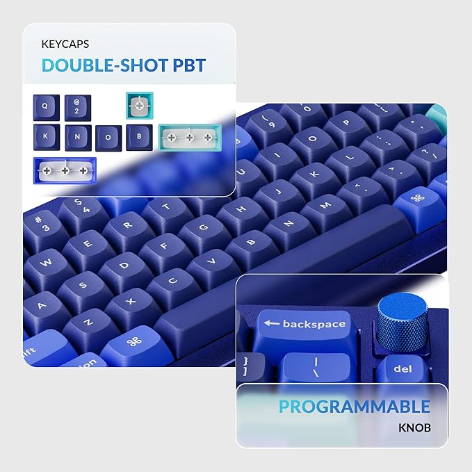 Keychron Q2 Wired 65% Layout Mechanical Keyboard with Knob &amp RGB - Hot-Swappable Gateron G Pro Blue Switch QMK/VIA Programmable Double Gasket Mount Aluminum Body for Mac/Windows/Linux (Blue)