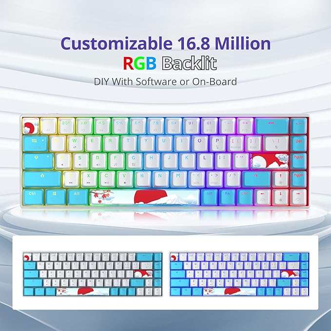 Owpkeenthy Portable 60% Mechanical Gaming Keyboard Ultra Compact RGB Wired 65 Percent Mini Office Keyboard Backlit with Red Switch for PC/PS5/XBOX(Blue/ 68 Red Switch)