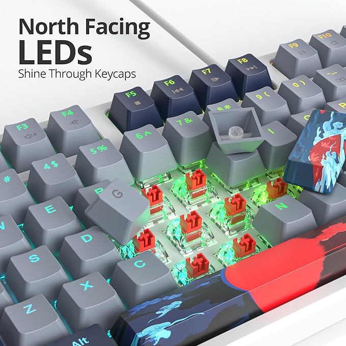 75% Mechanical Gaming Keyboard with Red Switch RGB LED Backlit 87 Keys TKL Wired Computer Keyboard for Windows Laptop PC Gamer