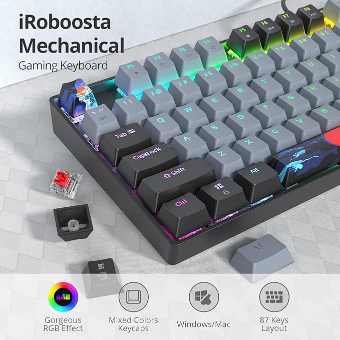 75% Mechanical Gaming Keyboard with Red Switch RGB LED Backlit Keyboard Grey 87 Keys Compact TKL Wired Computer Keyboard for Windows Laptop PC Gamer (87 Dolch)