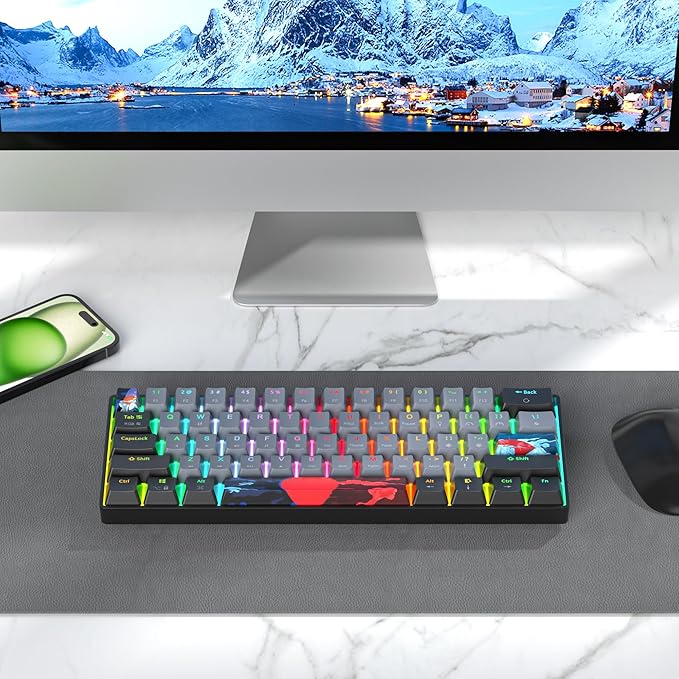 60 Percent Gaming Keyboard Portable Wired Mechanical Keyboard Ultra Compact Keyboard RGB Backlit Red Switch for Windows PC Laptop Gamers(61 Dolch)