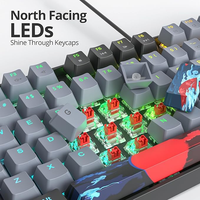 75% Mechanical Gaming Keyboard with Red Switch RGB LED Backlit Keyboard Black 87 Keys Compact TKL Wired Computer Keyboard for Windows Laptop PC Gamer (87 Dark)