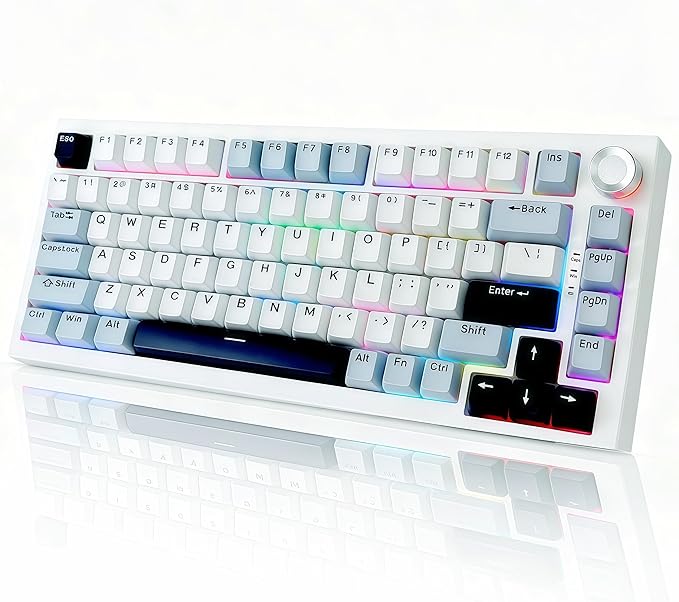 DstoPar Wireless Mechanical Keyboard75% Hot Swappable Gaming Keyboard With multifunction knobRGB BacklitGasket StructurePBT Keycaps Bluetooth5.0/Type-C/2.4GK81 mechanical keyboard (Bright White)