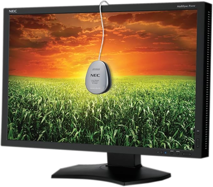 NEC Multisync P241W-BK 24 Widescreen Professional Graphics Desktop Monitor