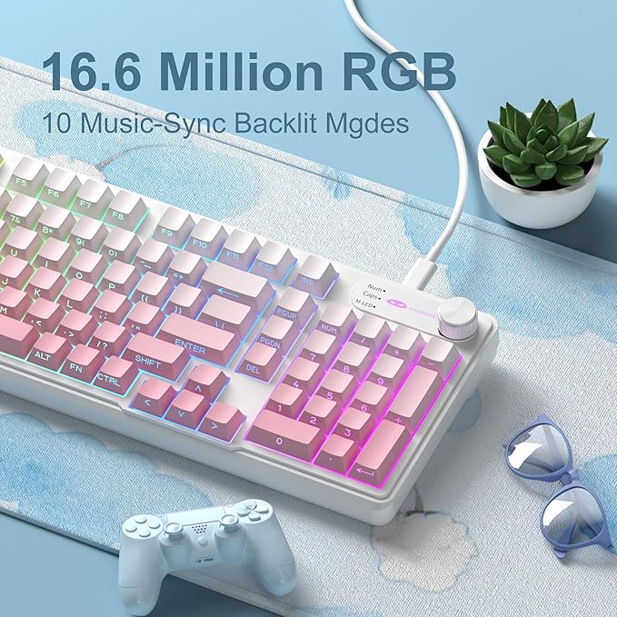 Camiysn Keyboard GK960 98 Keys 95% Layout Keyboards Type-C Connected Keyboard Side Engraved ABS Keycaps for PC/loptop/MAC