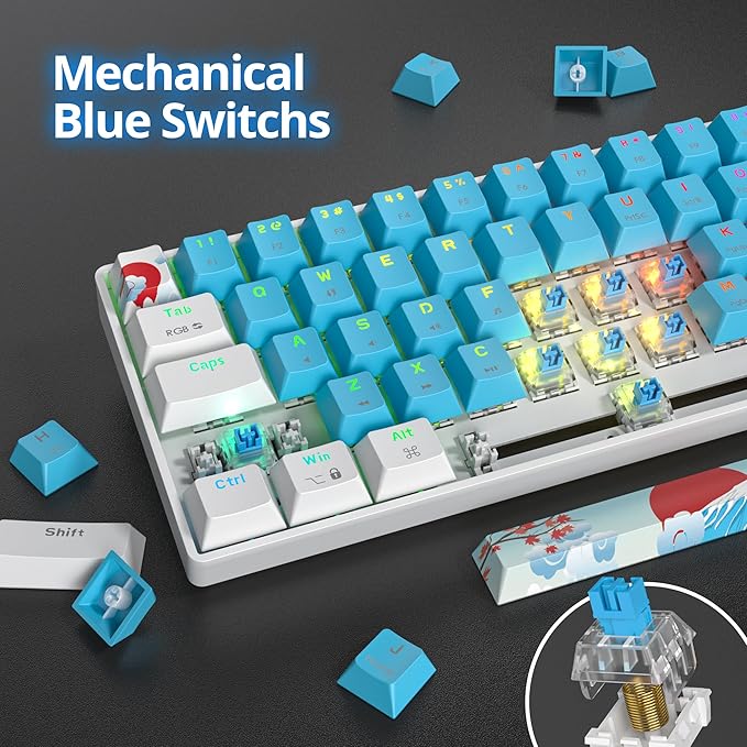 60% Mechanical Keyboard - Compact 60% Gaming Keyboard RGB Backlit 61 Keys USB Wired for Windows Mac Laptop PC (61 Blue/Blue Switches)