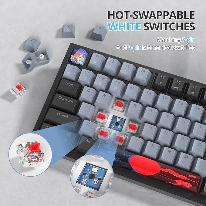 75 Percent Keyboard Gasket-Mounted with Sound Absorbing Pads 82-Key Compact Wired RGB Mechanical Gaming Keyboard Hot-Swap Socket for Win Dolch