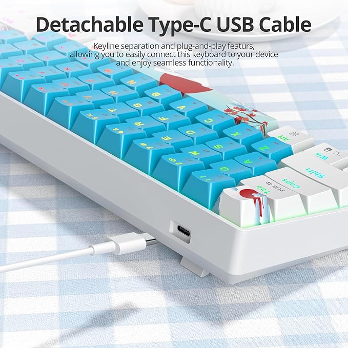 Blue and White Mechanical Gaming Keyboard 60% 61 Keys Small Wired RGB Keyboard with PBT Keycaps Anti-Ghosting for Game/Office