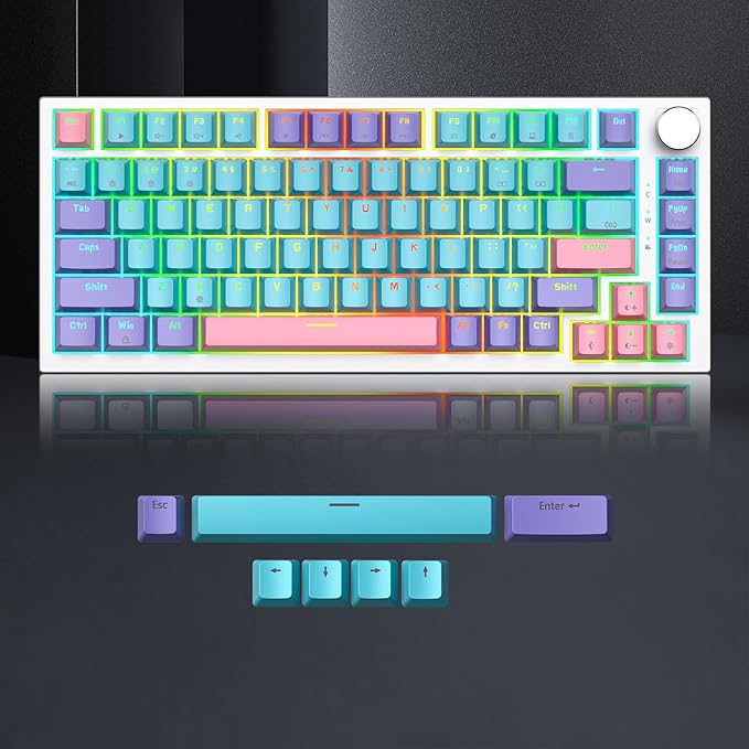 75 Percent Keyboard Gasket-Mounted with Sound Absorbing Pads 82-Key Compact Wired RGB Mechanical Gaming Keyboard Hot-Swap Socket for Win Joker