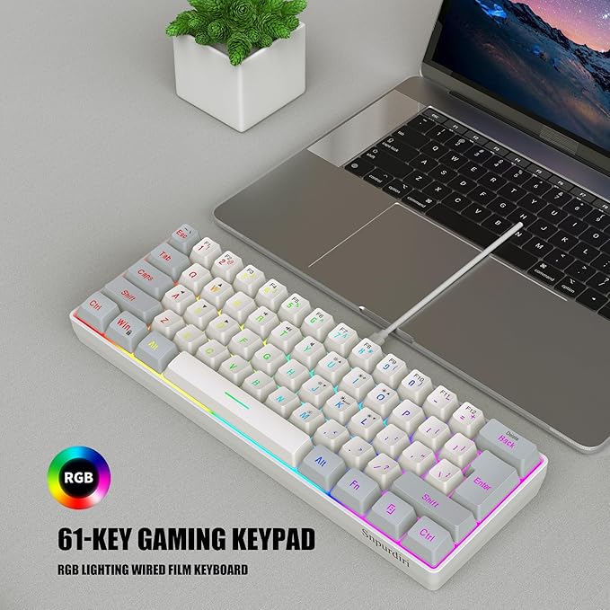 Snpurdiri 60% Wired Gaming Keyboard 61 Keys RGB Backlit Small Gaming Keyboard for PC/Mac Gamer Typist Travel Easy to Carry on Business Trip(Grey-White)