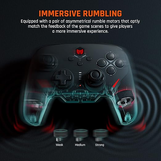Wired Pc Gaming ControllerBIGBIG WON Nintendo Switch pro Controller for tears of the kingdom Game6-Axis Gyroone key Wake-upMacroTurbo Dual Shock Custom ButtonsRGB Light for pc/switch lite/PS4