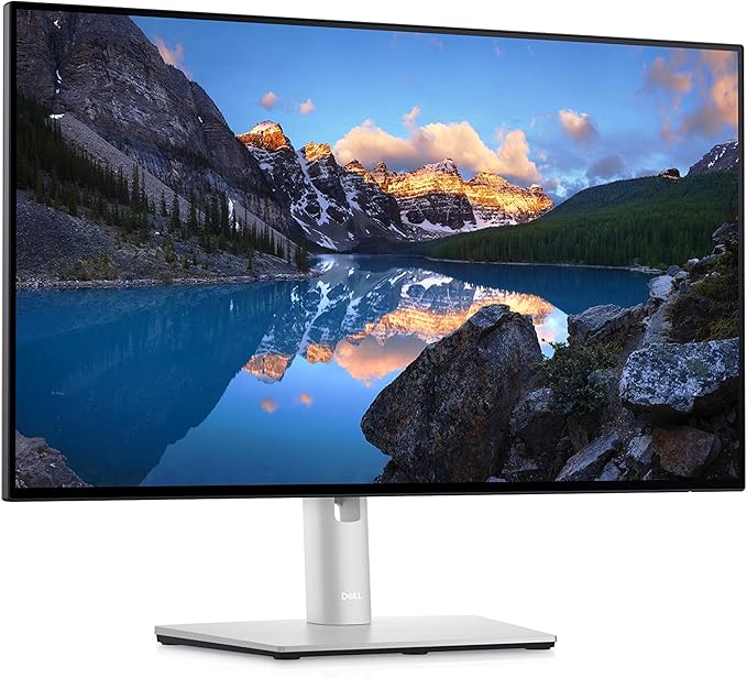 Dell UltraSharp 24 Monitor - U2422H - 60.47cm (23.8) 0210-AYUI 837035 (U2422H - 60.47cm (23.8))