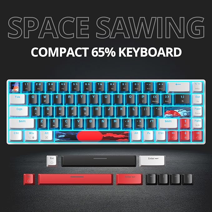 Protable 60% Percent Gaming Keyboard Mechanical Mini Compact Ice-Blue LED Backlit 68 Keys Wired Office Keyboard with Red Switch for Mac/Win/PS4/PS5(68Black/red Switch)