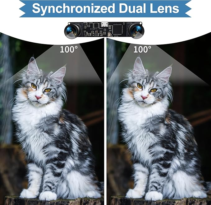 Synchronized Dual Lens Stereo USB Camera 960P 60FPS Webcam with 100 Degree No Distortion Lens 3D VR Webcamera with CMOS OV9715 Sensor Mini Industrial Amera Module for PC Raspberry PI Laptop