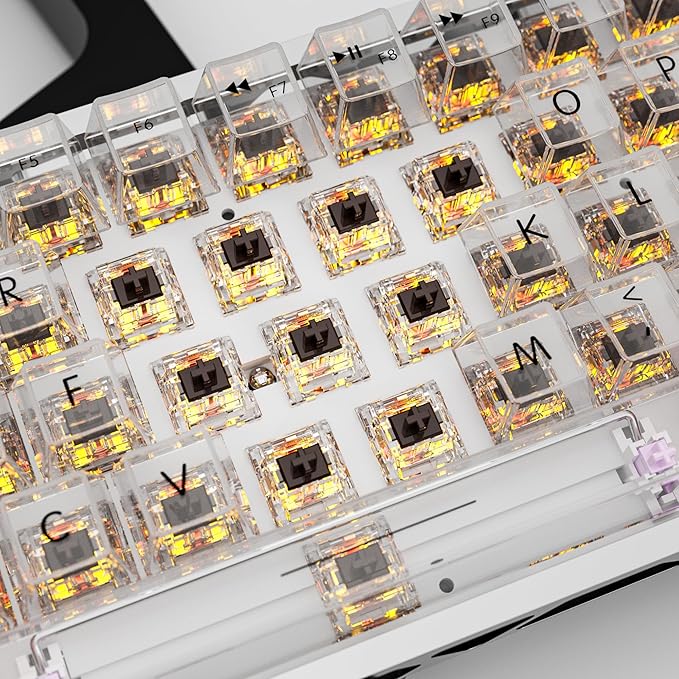 Zhouwang Crystal Brown Switches 3-Pin Pre-Lubricated Tactile Switches Dustproof and Waterproof for Mechanical Keyboards. (90Pcs)
