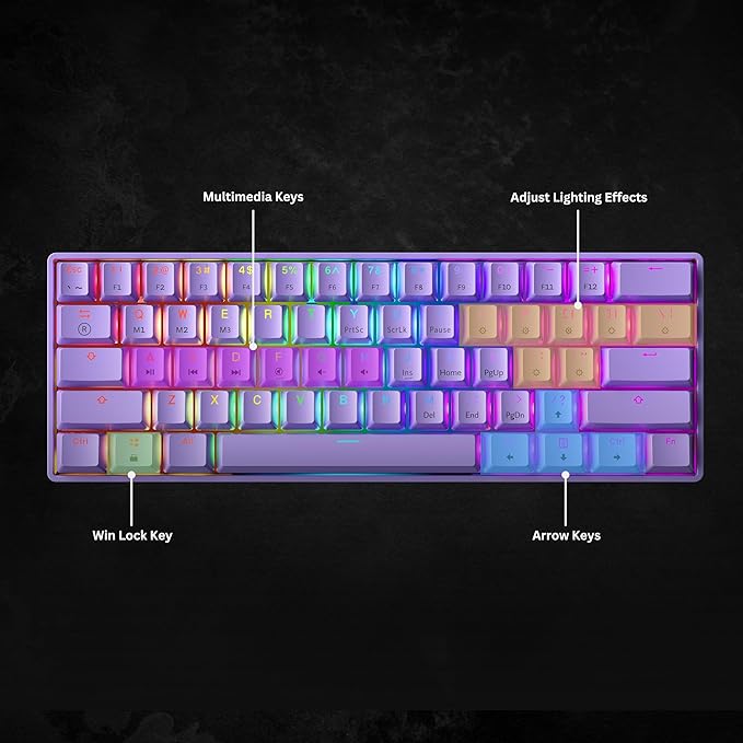 Mechanical Gaming Keyboard - 61 Keys Multi Color RGB Illuminated LED Backlit Wired Programmable for PC/Mac Gamer (Gateron Optical Brown Lavender)