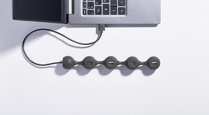 LEXON PEAS HUB 2 4-Port Hub Charge 2 x USB 2 x USB-C 2 Smartphones Simultaneously Copper Inner Cable LD143DG Dark Gray