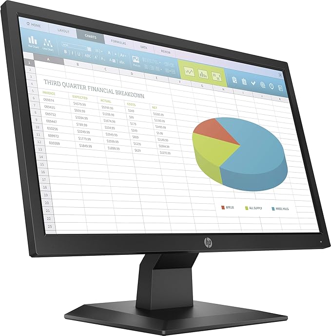 HP P204 LED Display 49.5 cm (19.5) HD+ Flat Black