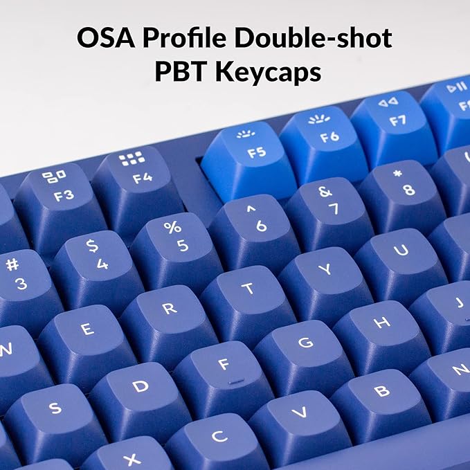 Keychron Q3 RGB Tenkeyless Layout QMK/VIA Programmable Macro Hot-swappable Wired Custom Mechanical Keyboard with Gateron G Pro Blue Switch Double Gasket Compatible with Mac Windows Linux (Blue)