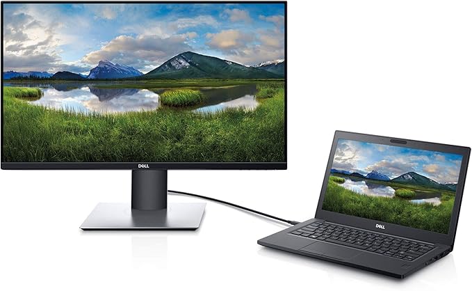 Dell 24IN USB-C Monitor P2419HC