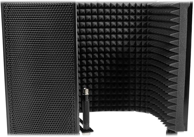 Audiosavings Se Electronics RN17 Bundle: Microphone Omni Directional Capsule ROCKSHIELD 3 Large Recording Vocal Shield with Dampening Foam 2-Items