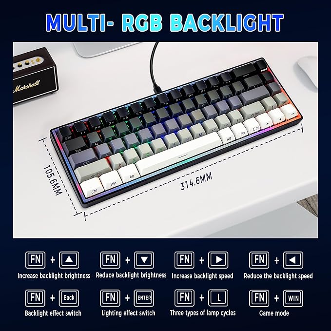 Mechanical Gaming Keyboard 65% Wired Magnetic Switch Hot Swappable RGB Backlit 68-Key Compact Mini Keyboard with Blue Switch Detachable USB-C Cable for PC Mac Gamer