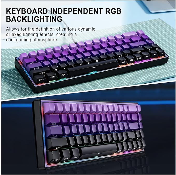 Mechanical Gaming Keyboard 65% Wired Magnetic Switch Hot Swappable RGB Backlit 68-Key Compact Mini Keyboard with Blue Switch Detachable USB-C Cable for PC Mac Gamer
