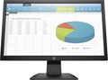 HP P204 LED Display 49.5 cm (19.5) HD+ Flat Black