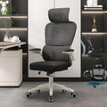 Ergonomic Office Desk Chair330 LBS Home Mesh Office Desk ChairsLumbar Support Computer Chair with Flip-up ArmsHigh Back Office Chair for Long Hours Office Chair for Study and WorkWhite+bl