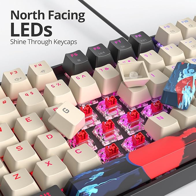 75% Mechanical Gaming Keyboard with Red Switch RGB LED Backlit Keyboard Orange 87 Keys Compact TKL Wired Computer Keyboard for Windows Laptop PC Gamer (87 Carbon)
