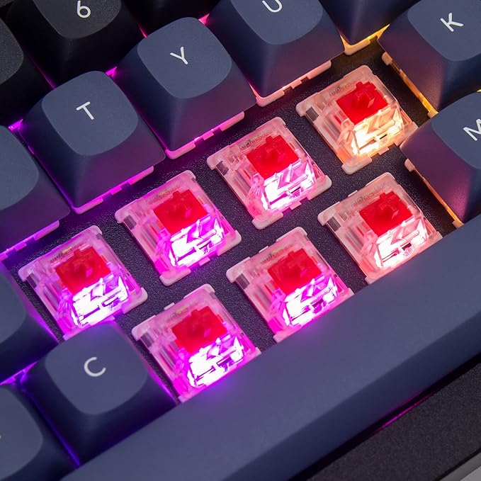 Keychron Q4 Wired Custom Mechanical Keyboard 60% Layout QMK/VIA Programmable Macro with Hot-swappable Gateron G Pro Red Switch Double Gasket Compatible with Mac Windows Linux (Black)