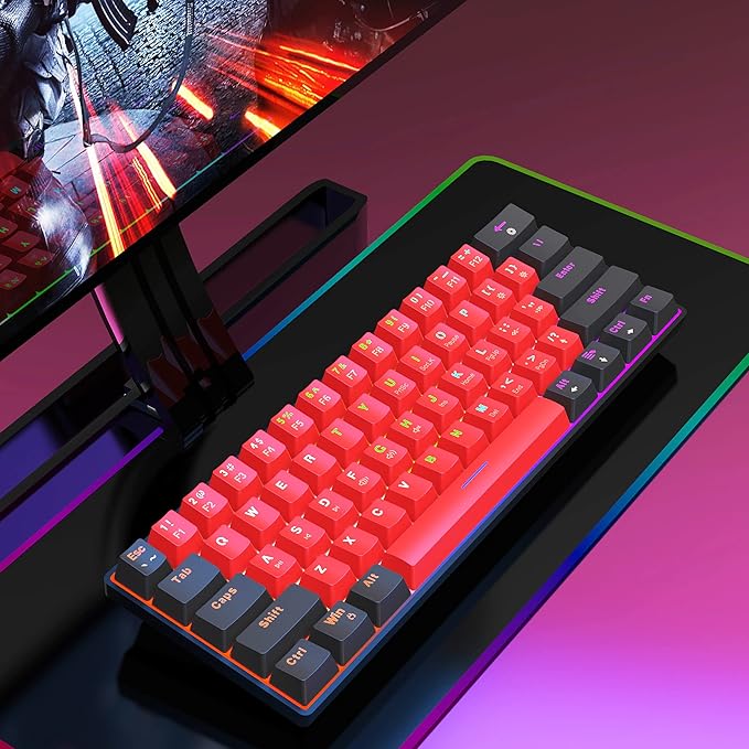 Snpurdiri 60% Wired Mechanical Gaming Keyboard LED Backlit 60 Percent Gaming Keyboard for Windows Laptop PC Mac (Black-Red Blue Switches)