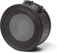 Solomon LoFReQ Sub-Style Dynamic Microphone - Daru Jones Signature Neo Blaq
