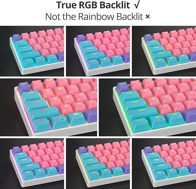 Protable 60% Percent Gaming Keyboard Mechanical Mini Compact RGB Backlit 61 Keys Wired Office Keyboard with red Switch for Mac/Win (Zhi/red Switch)