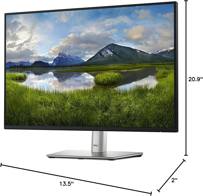 Dell P2425E 24 LED Monitor - 16:10 - Black Gray