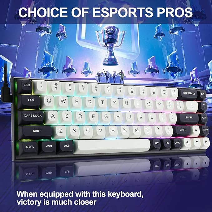 Redragon K701 Rapid Trigger Mechanical Gaming Keyboard 60% Wired with Adjustable Actuation Magnetic Switch 8k Hz Polling Rate RGB Backlit 68 Keys Mini for PC Gamer White/Blue-black