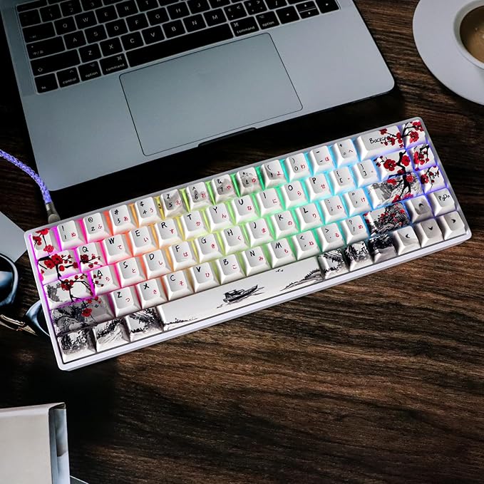 MOLGRIA GK68 68-Key RGB Backlit Gaming Keyboard with Plum Blossom Keycaps Hot Swappable Yellow Mechinery Switches Type C Wired Mechanical Keyboard for Win/Mac OS