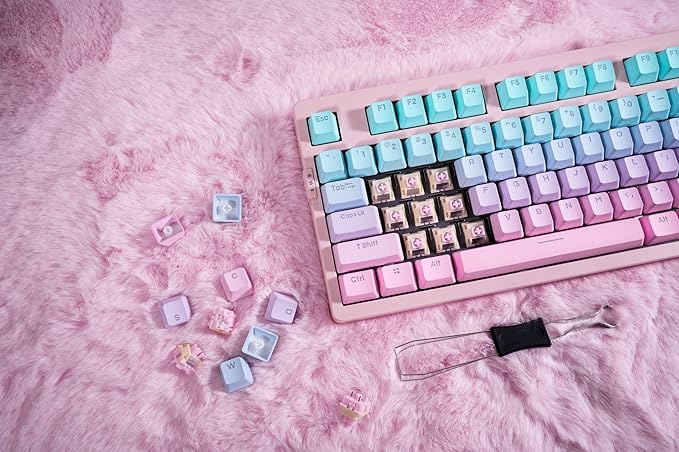 ZORNHER ZH980 Mechanical Keyboard95% Pink &amp Blue Creamy Keyboard with Number PadGaming Keyboard Full SizeShine Through PBT KeycapsCreamy Sounding Linear Switches