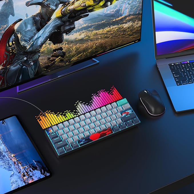 60 Percent Gaming Keyboard 61 Keys Wired Mechanical Keyboard Ultra Compact Key Board Red Switch LED Backlit for Windows Laptop Gamer