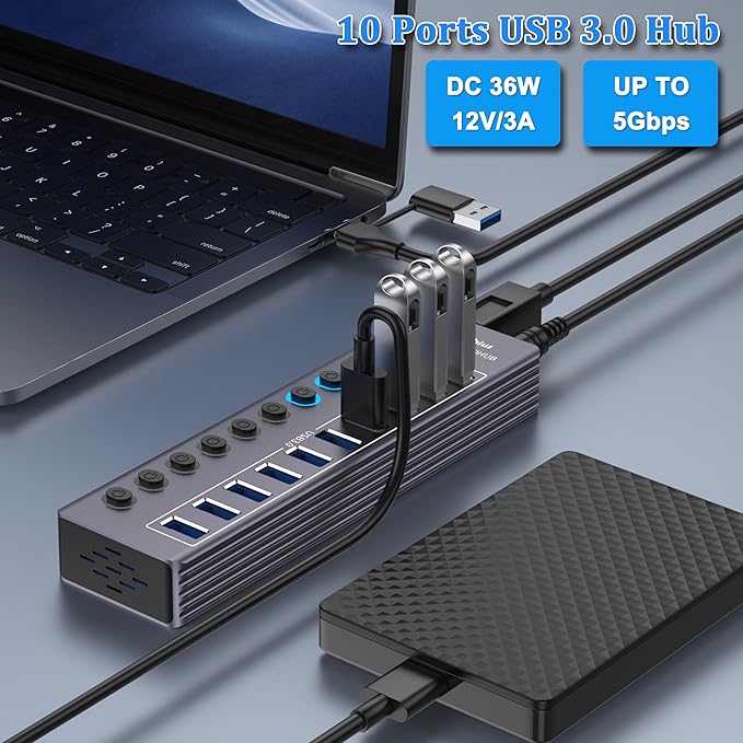 Powered 10-Port USB 3.0 Hub USB C to 10 Ports USB Data Hub Splitter with Individual LED On/Off Switche 3.3FT Cable 12V/3A Power Adapter for Laptop MacBook Pro/Air PC (Aluminum Gary)
