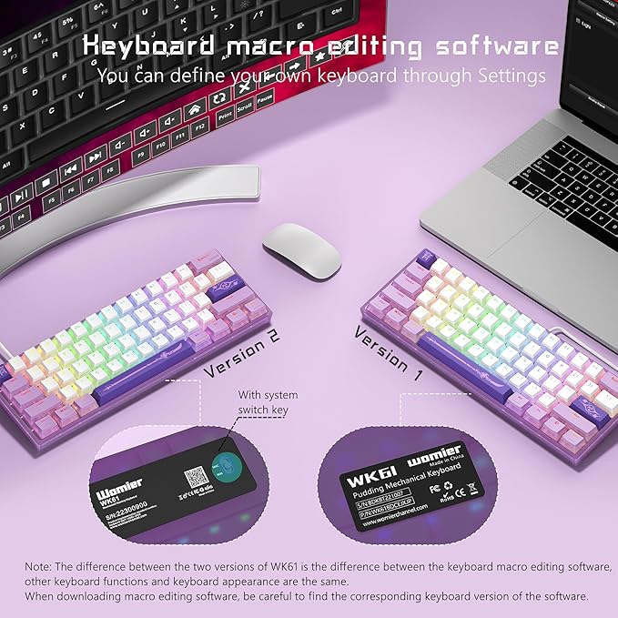 Womier 60% Percent KeyboardWK61 V2 Mechanical RGB Wired Gaming KeyboardHot-Swappable Creamy Key Board with PBT KeycapsLinear Red Switch for Windows/MAC (Purple)