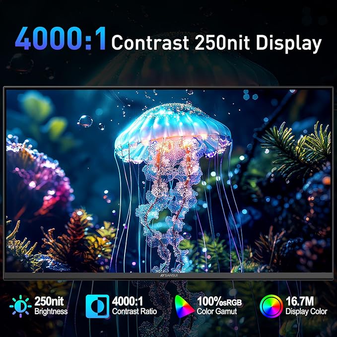 SANSUI 22 Inch 120Hz Monitor FHD Computer Monitor 4000:1 Contrast Ratio with Adaptive Sync HDR 100% sRGB HDMI x 2 VESA Mount Eye Care for Home/Office (ES-22X3AH One HDMI Cable Included).