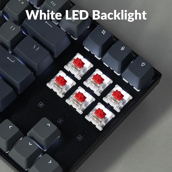 Keychron K8 Tenkeyless Wireless Mechanical Keyboard for Mac White Backlight Bluetooth Multitasking Type-C Wired Gaming Keyboard for Windows Red Switch