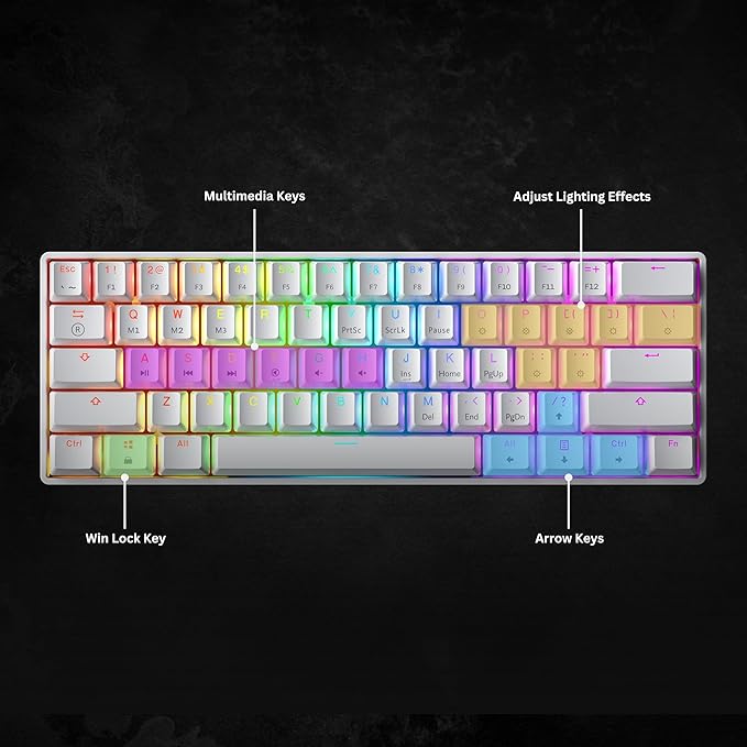 Mechanical Gaming Keyboard - 61 Keys Multi Color RGB Illuminated LED Backlit Wired Programmable for PC/Mac Gamer (Gateron Mechanical Black White)