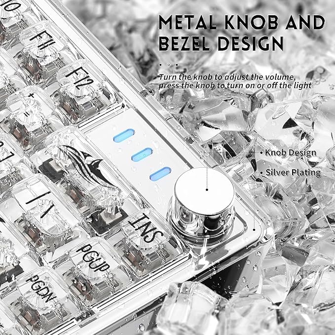 MAGIC-REFINER 81 Keys Mechanical Gaming Keyboard with Type C Cable Plug PlayPC High Transparent Body with Customize RGB Backlight Full Key can Hot-Swappable Compact Mini Keyboard with for Win/Mac