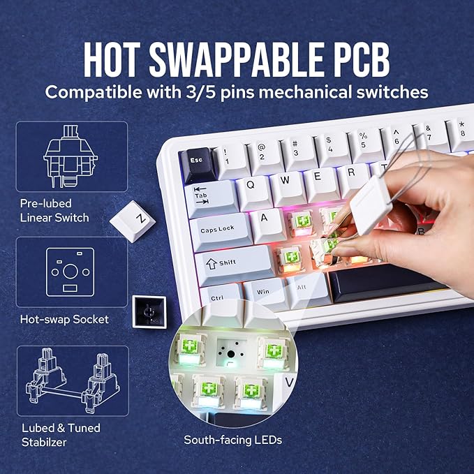 EPOMAKER x Aula F65 65% Wireless Mechanical Keyboard Hot Swappable Gasket Custom Gaming Keyboard with Five-Layer Padding RGB Backlit BT/2.4GHz/USB-C (Light Blue Graywood V3 Switch)