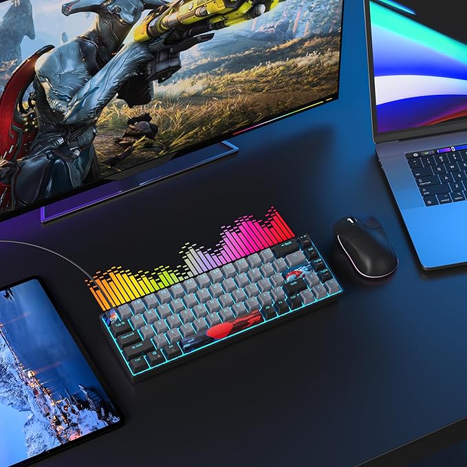 65 Percent Gaming Keyboard 68 Keys Mechanical Keyboard LED Backlit Ultra Compact Wired Key Board with Red Switch for Windows Laptop Gamer